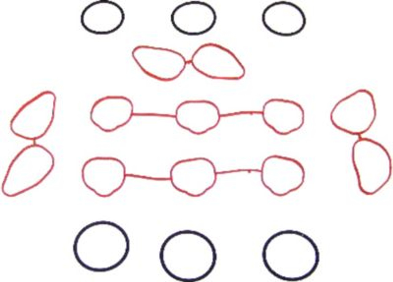 2003 Cadillac CTS 3.2L Engine Intake Manifold Gasket Set IG3105 -6