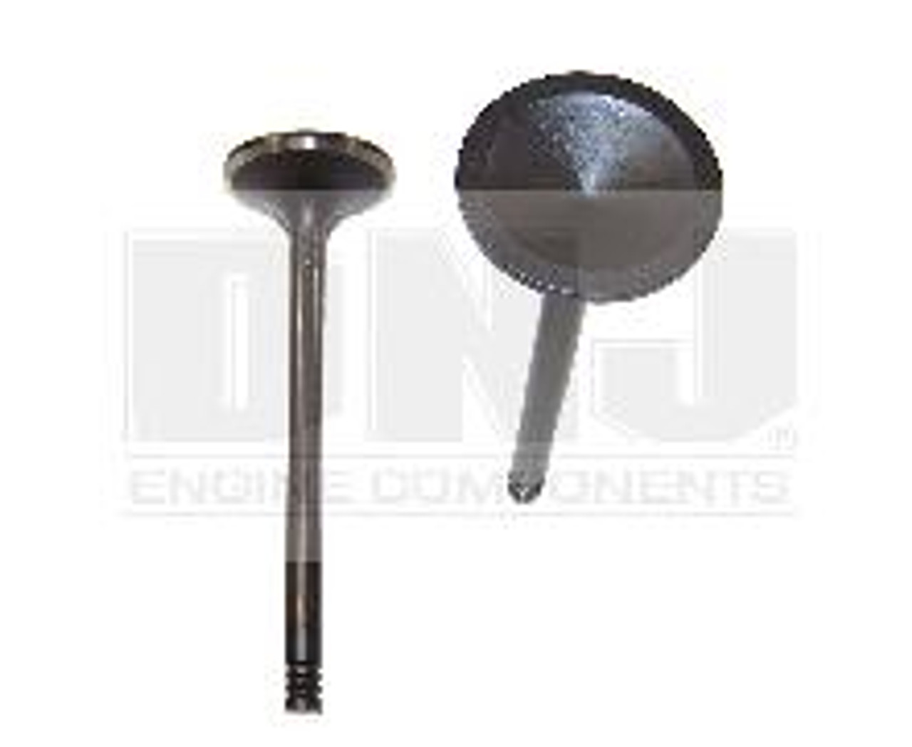 2005 Chrysler 300 6.1L Engine Exhaust Valve EV1162 -1