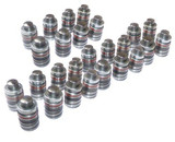 Valve Lifters Set of 24 Part # LFK24408.P