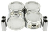 Piston Set Part # P219.P
