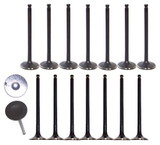 Valve Kit  - Exhaust and Intake Part # VK16489.P