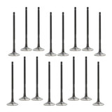 Valve Kit  - Exhaust and Intake Part # VK16955.P