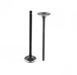 Exhaust Valve - 2001 Toyota Celica 1.8L Engine Parts # EV916ZE6