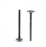 Exhaust Valve - 1996 Toyota Paseo 1.5L Engine Parts # EV935ZE5