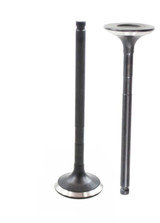 Exhaust Valve - 2005 Toyota Echo 1.5L Engine Parts # EV949ZE12