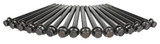 Head Bolt Kit - 1999 Honda Accord 3.0L Engine Parts # HBK318ZE41