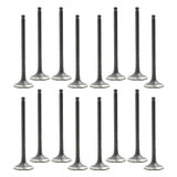 Exhaust and Intake Valve Kit - 2006 Scion xA 1.5L Engine Parts # VK16949ZE3