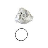 Water Pump - 2013 Volkswagen Passat 3.6L Engine Parts # WP802AZE16