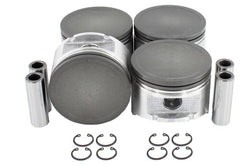 Piston Set Part # P609.P