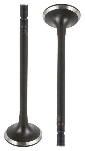 Exhaust Valve - 2016 Nissan Rogue 2.5L Engine Parts # EV4242ZE14