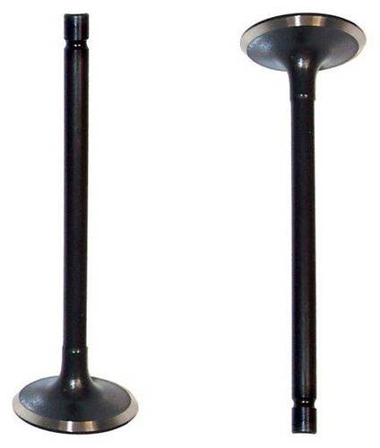 Intake Valve - 1994 Geo Tracker 1.6L Engine Parts # IV525ZE6