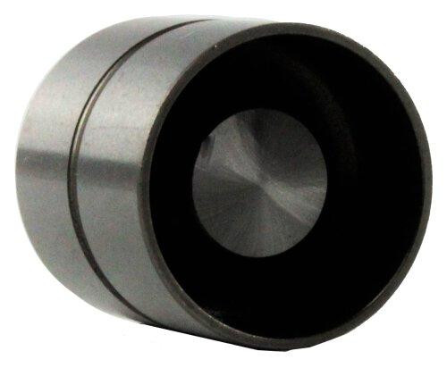 Valve Lifter - 2000 Volkswagen Passat 2.8L Engine Parts # LIF800IZE108