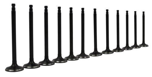 Exhaust and Intake Valve Kit - 2000 Infiniti QX4 3.3L Engine Parts # VK12616AZE4