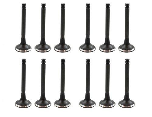 Exhaust and Intake Valve Kit - 1993 Audi 100 2.8L Engine Parts # VK12806ZE5