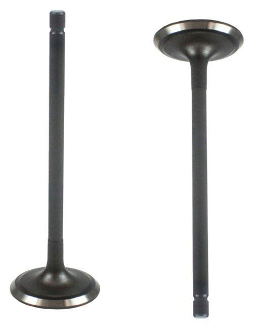Intake Valve Part # IV193.P