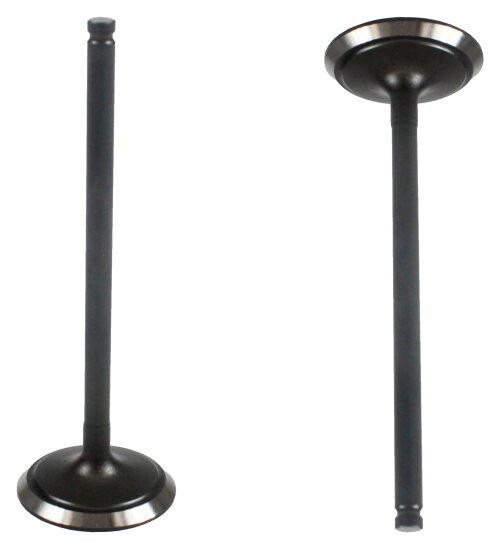 2010 Suzuki SX4 2.0L Intake Valve IV533EP1