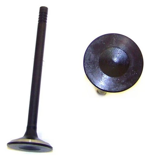 Exhaust Valve - 1999 Chrysler Town & Country 3.8L Engine Parts # EV1135ZE29
