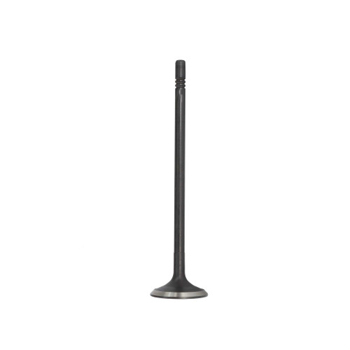 Exhaust Valve - 2013 Dodge Dart 2.0L Engine Parts # EV1170ZE4