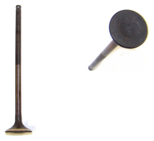 Exhaust Valve - 2007 Honda Fit 1.5L Engine Parts # EV238ZE7