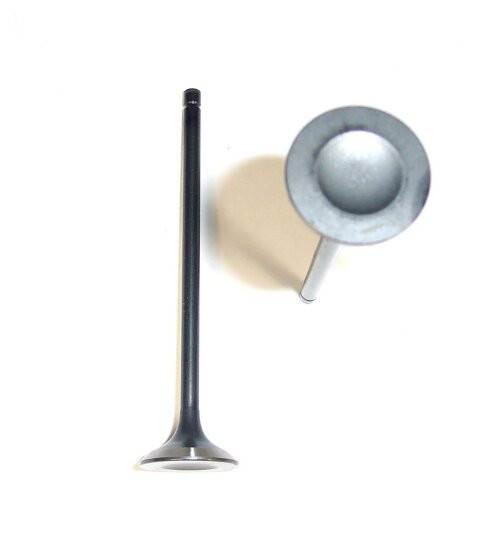 Exhaust Valve - 1996 Acura TL 3.2L Engine Parts # EV282ZE15