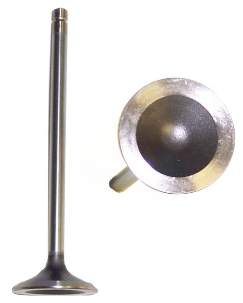 Exhaust Valve - 1996 Chevrolet Corsica 2.2L Engine Parts # EV328ZE13