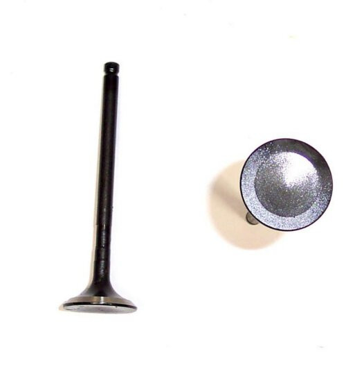 Exhaust Valve - 1996 Toyota 4Runner 3.4L Engine Parts # EV958ZE3