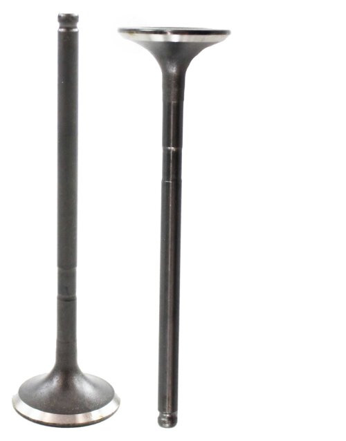 Exhaust Valve - 2008 Toyota Tundra 4.0L Engine Parts # EV969ZE37