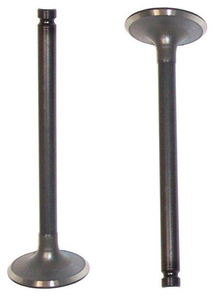 Intake Valve - 2004 Acura RL 3.5L Engine Parts # IV282ZE14