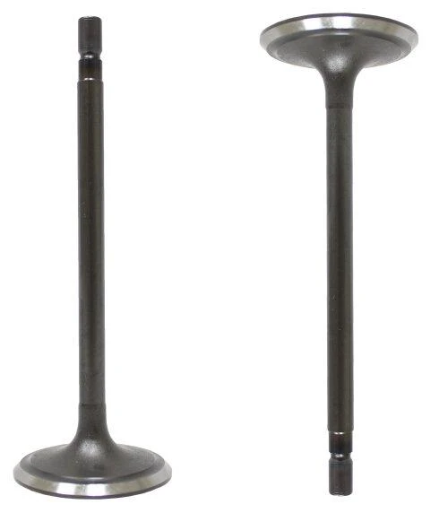 Intake Valve - 2017 Infiniti QX60 2.5L Engine Parts # IV4242ZE4