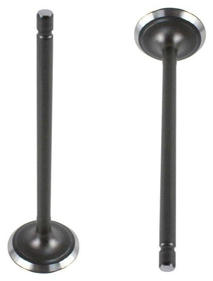 Intake Valve - 2012 Scion iQ 1.3L Engine Parts # IV4244ZE1