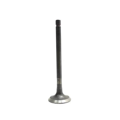 Intake Valve - 2014 Ford Mustang 5.0L Engine Parts # IV4299ZE9