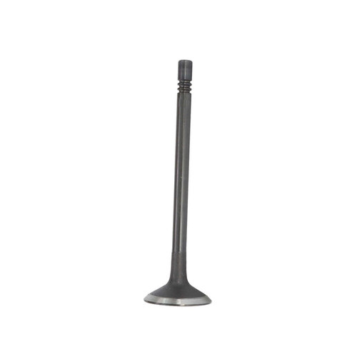 Intake Valve - 2015 Volkswagen Golf 2.0L Engine Parts # IV4333AZE1