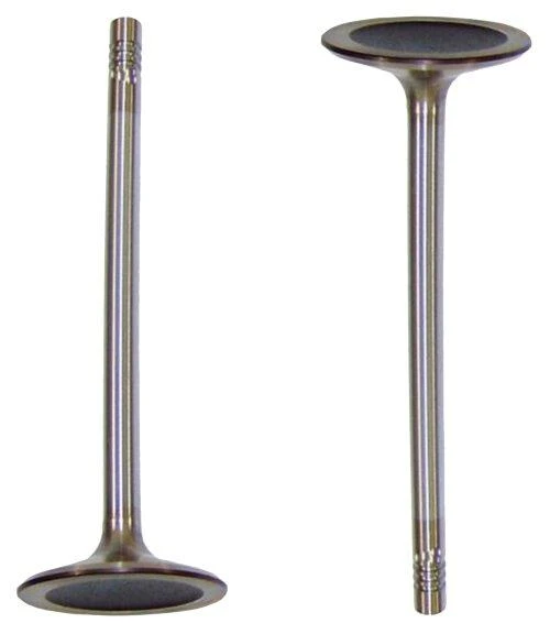Intake Valve - 2010 Audi A6 Quattro 4.2L Engine Parts # IV814ZE27