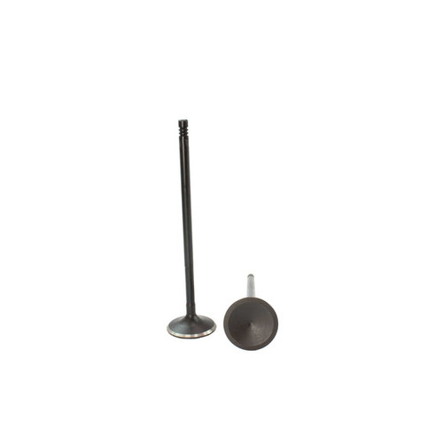 Intake Valve - 2007 Volkswagen Touareg 3.6L Engine Parts # IV816AZE34