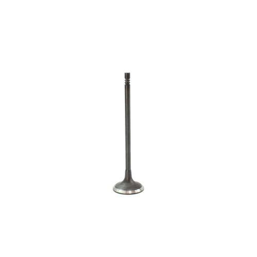 Intake Valve - 2009 Mini Cooper 1.6L Engine Parts # IV828ZE3