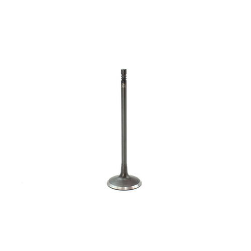 Intake Valve - 2015 BMW 428i Gran Coupe 2.0L Engine Parts # IV843ZE32
