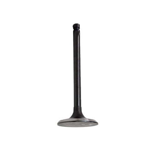 Intake Valve - 2015 Lexus RC F 5.0L Engine Parts # IV980ZE10