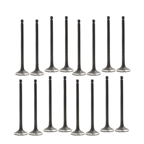 Exhaust and Intake Valve Kit - 2011 Nissan Cube 1.8L Engine Parts # VK16635ZE7