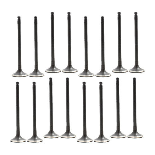 Exhaust and Intake Valve Kit - 2000 Nissan Sentra 1.8L Engine Parts # VK16641ZE10