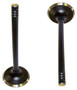 Intake Valve Part # IV4137.P