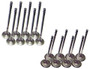 Valve Kit  - Exhaust and Intake Part # VK16190.P