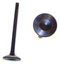 Exhaust Valve - 1994 Plymouth Voyager 3.3L Engine Parts # EV1135ZE86