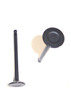 Exhaust Valve - 2001 Hyundai Accent 1.6L Engine Parts # EV122ZE9