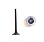 Exhaust Valve - 1987 Honda Accord 2.0L Engine Parts # EV206ZE3
