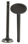 Exhaust Valve - 1995 Chevrolet G10 5.0L Engine Parts # EV3125BZE145