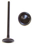 Exhaust Valve - 2005 GMC Envoy 4.2L Engine Parts # EV3138ZE32