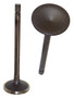 Exhaust Valve - 2008 Pontiac Torrent 3.6L Engine Parts # EV3139ZE78