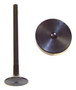 Exhaust Valve - 1998 Lincoln Continental 4.6L Engine Parts # EV4131ZE17