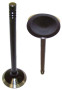 Exhaust Valve - 2004 Ford Ranger 3.0L Engine Parts # EV4139ZE6