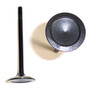 Exhaust Valve - 2001 Ford Explorer 4.0L Engine Parts # EV428ZE17